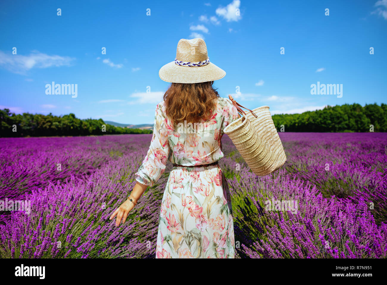 Hinter der eleganten Frau in geblümten Kleid mit Stroh Beutel an lavendelfeld in der Provence, Frankreich gesehen. Sparen Sie Zeit für gemütliche Promenade unter bunten Stockfoto