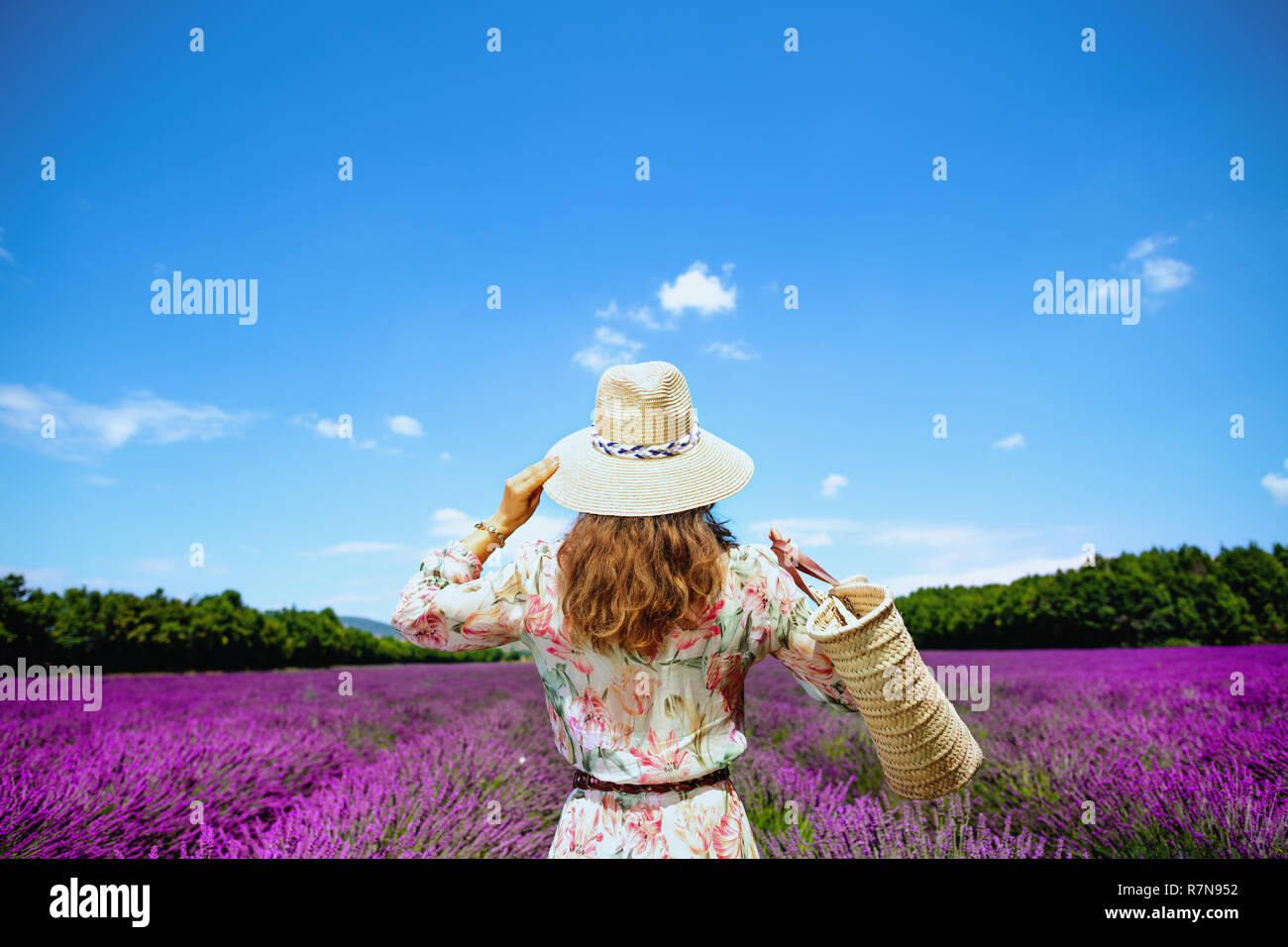 Hinter der stilvollen Frau in geblümten Kleid mit Stroh Beutel in lavendelfeld in der Provence, Frankreich gesehen. Unvergessliches Abenteuer im Sommer Urlaub an Stockfoto