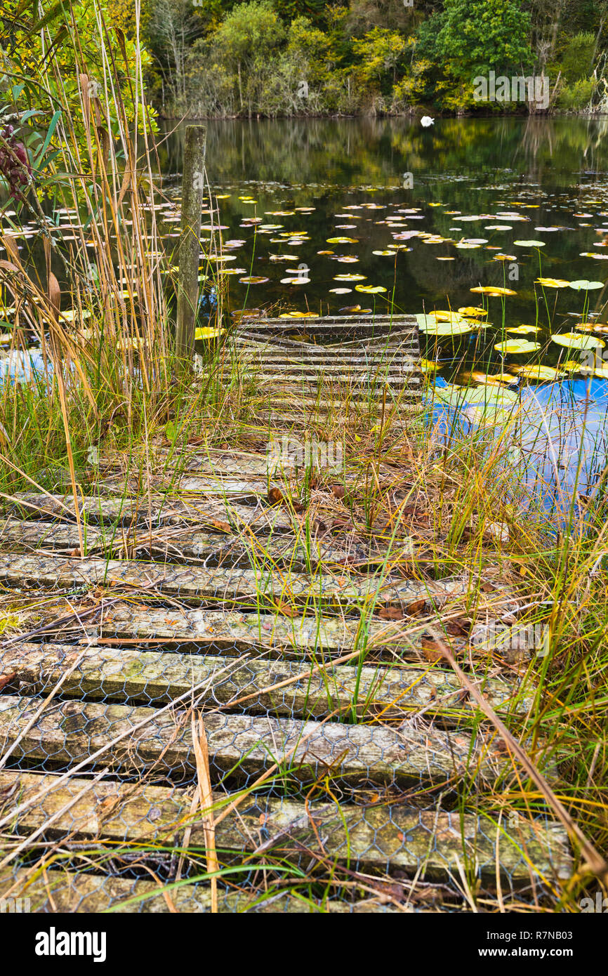 Bewachsene Ufer eines kleinen Loch mit hölzernen Steg. Stockfoto