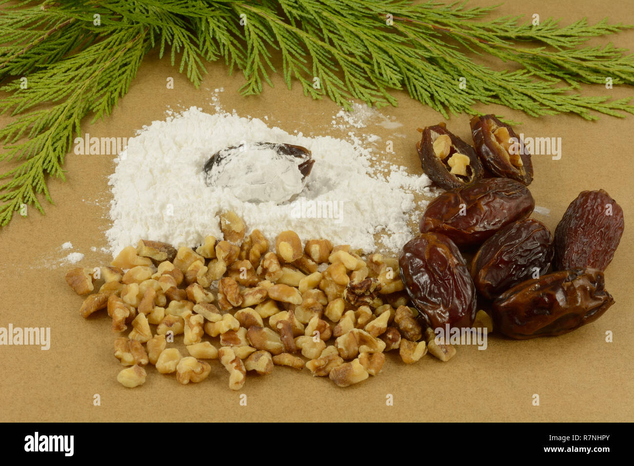Die traditionelle Weihnachten Desserts durch Füllung Medjool Datteln mit Walnuss Mutter Stücke und dann in Puderzucker Stockfoto