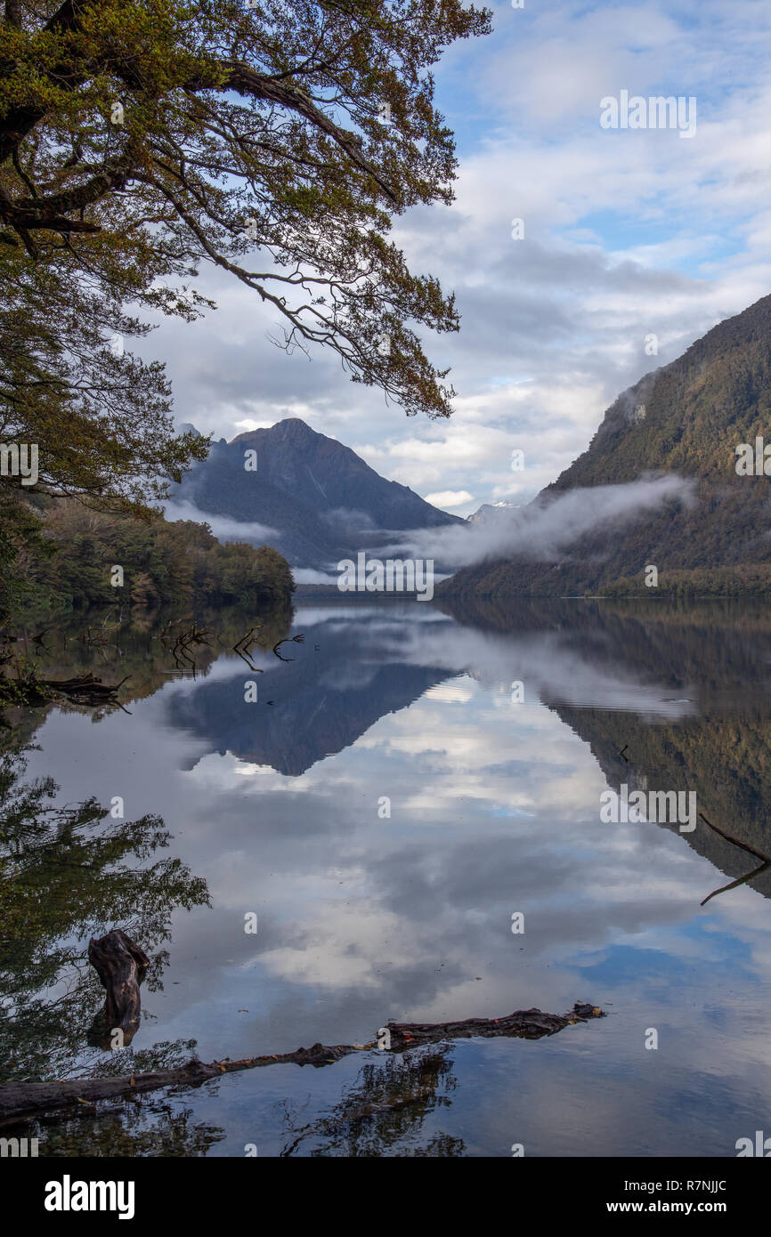 Lake Gunn mit erstaunlichen Reflexionen im Fjordland, Neuseeland Stockfoto