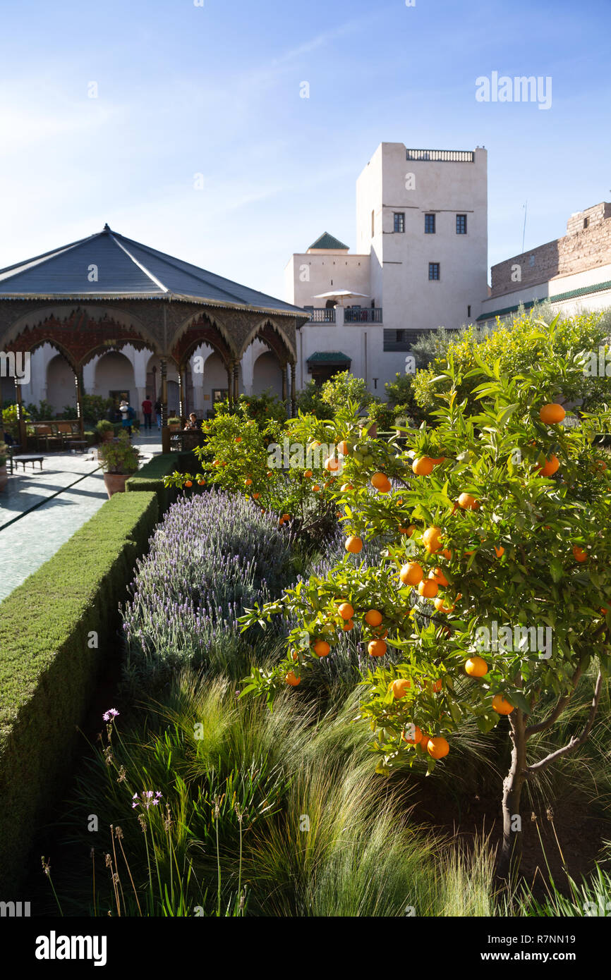Der geheime Garten Marrakesch, aka Le Jardin Secret, Garten Museum, Marrakesch Medina, Marrakesch, Marokko Nordafrika Stockfoto