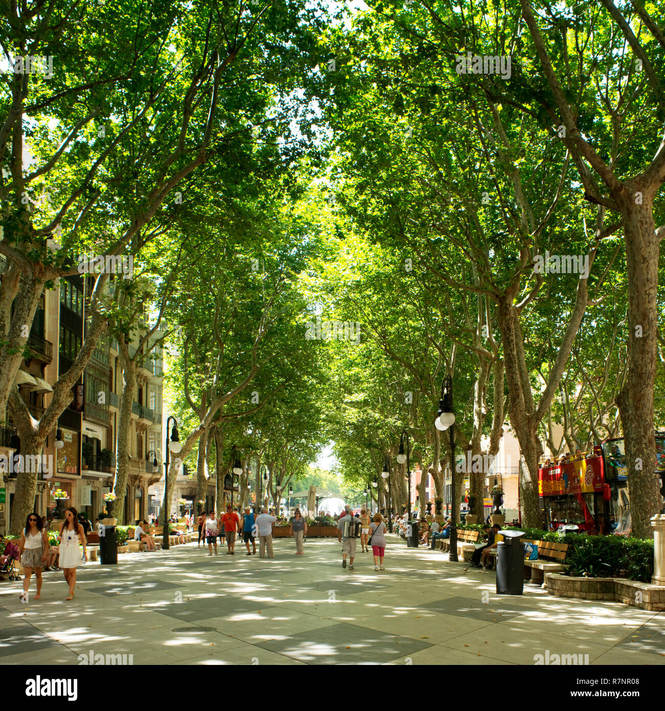 Die autofreie Passeig des Born, Palma de Mallorca, Spanien. Stockfoto
