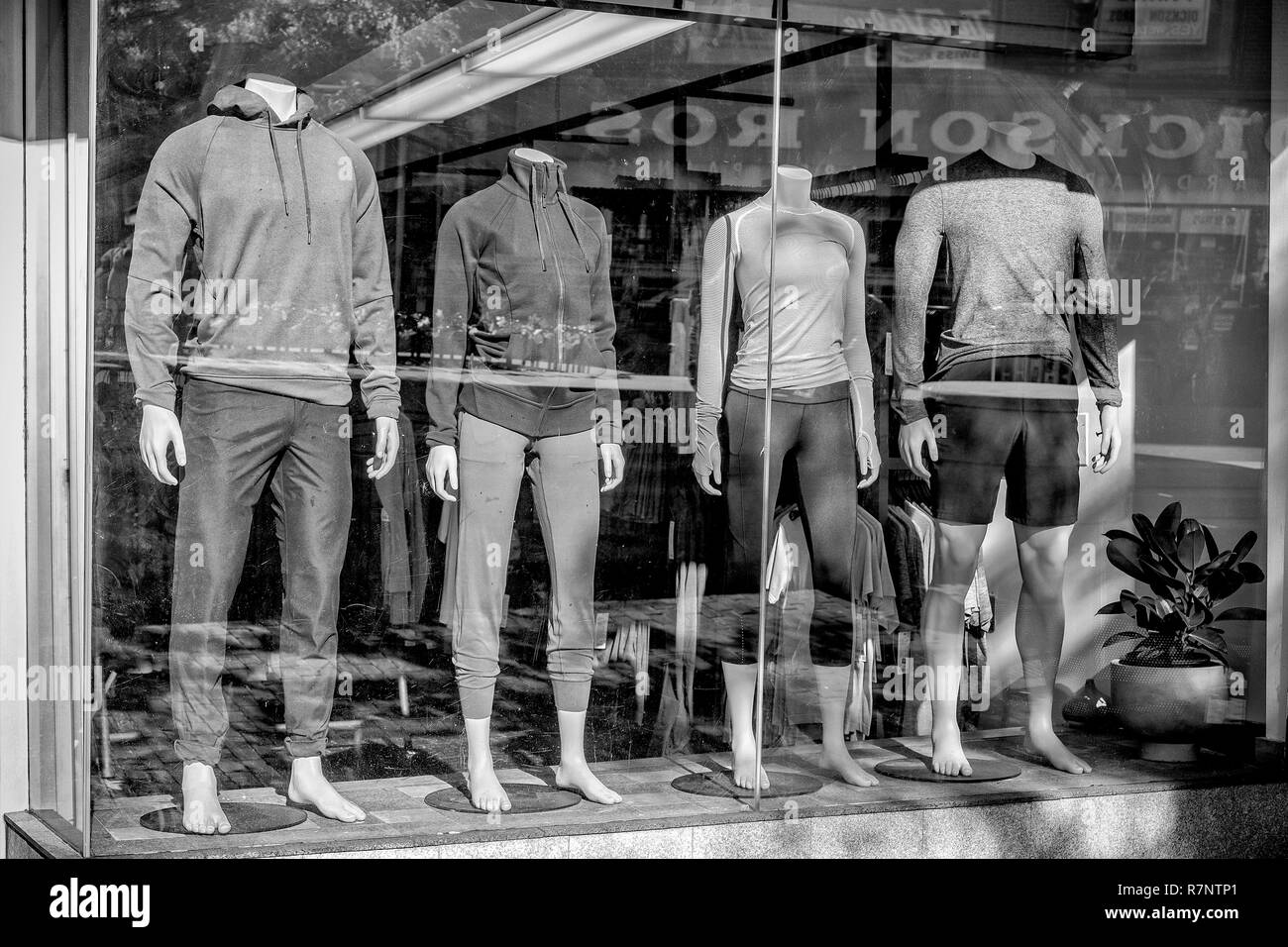 Ein Store Fenster in Harvard Square, Cambridge, MA Stockfoto