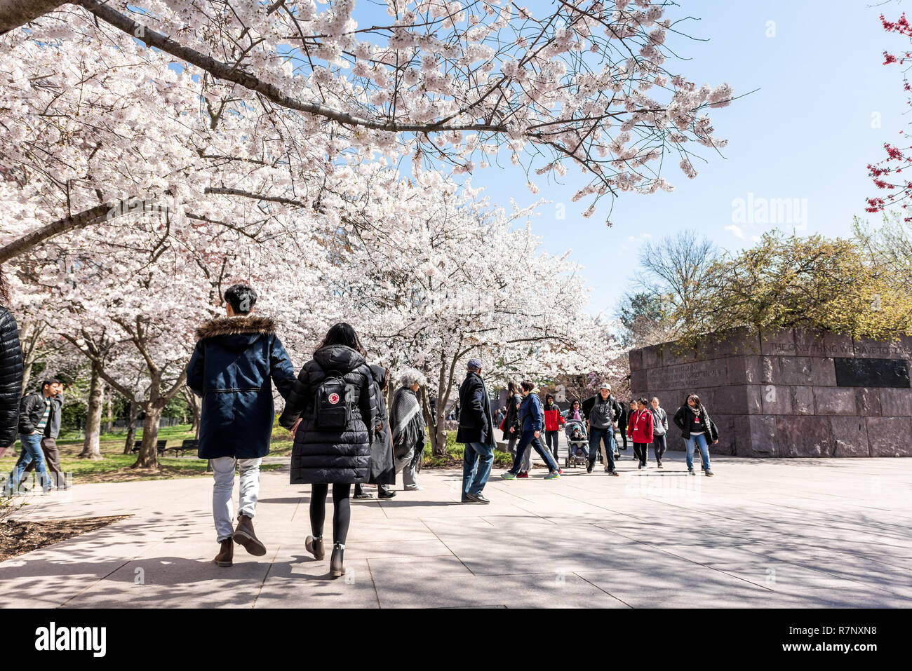 Washington DC, USA - April 5, 2018: Touristen Menschen paar von vielen Zuschauern in Franklin Delano Roosevelt FDR Memorial, Cherry Blossom Kirschbaum Stockfoto