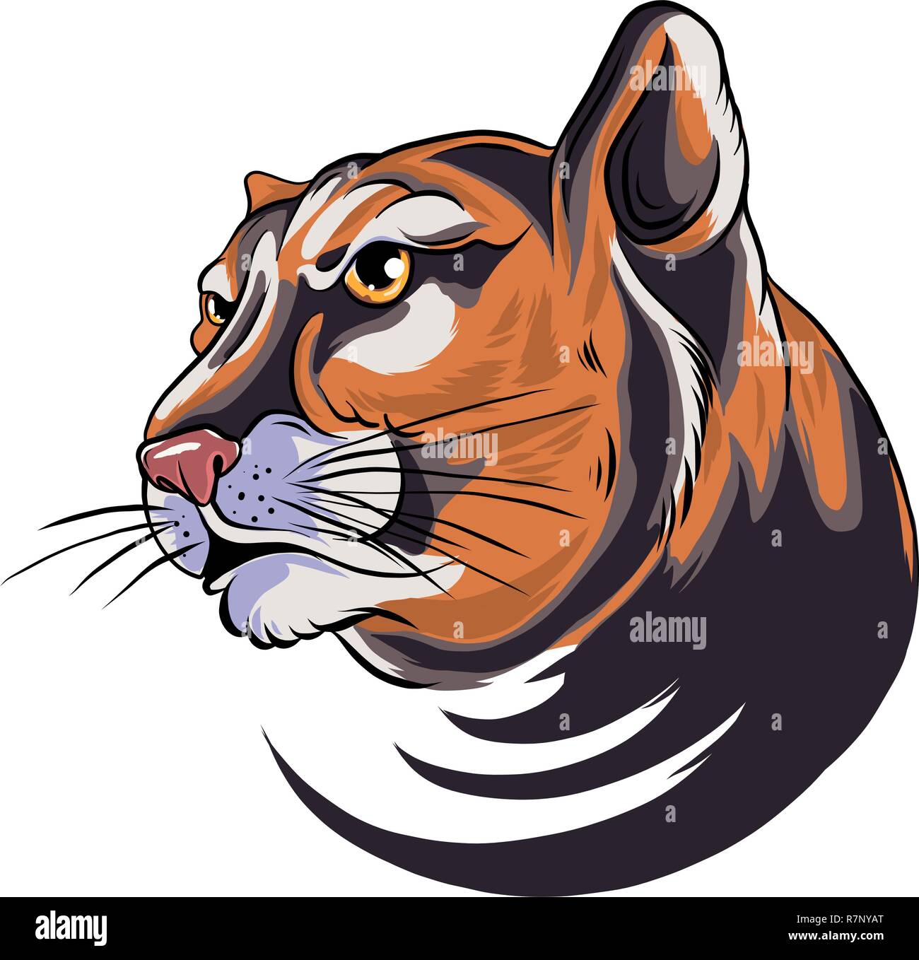 Abbildung: Cougar Panther Mascot Kopf Vektorgrafik Stock Vektor