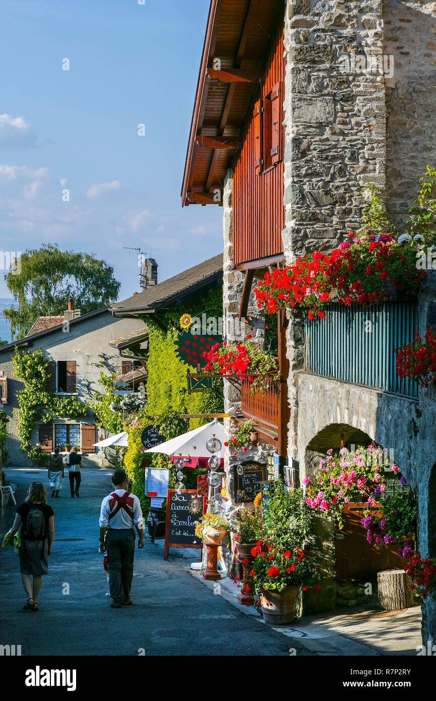 Frankreich Haute Savoie Yvoire Beschriftet Les Plus Beaux Villages frankreich-haute-savoie-yvoire-beschriftet-les-plus-beaux-villages