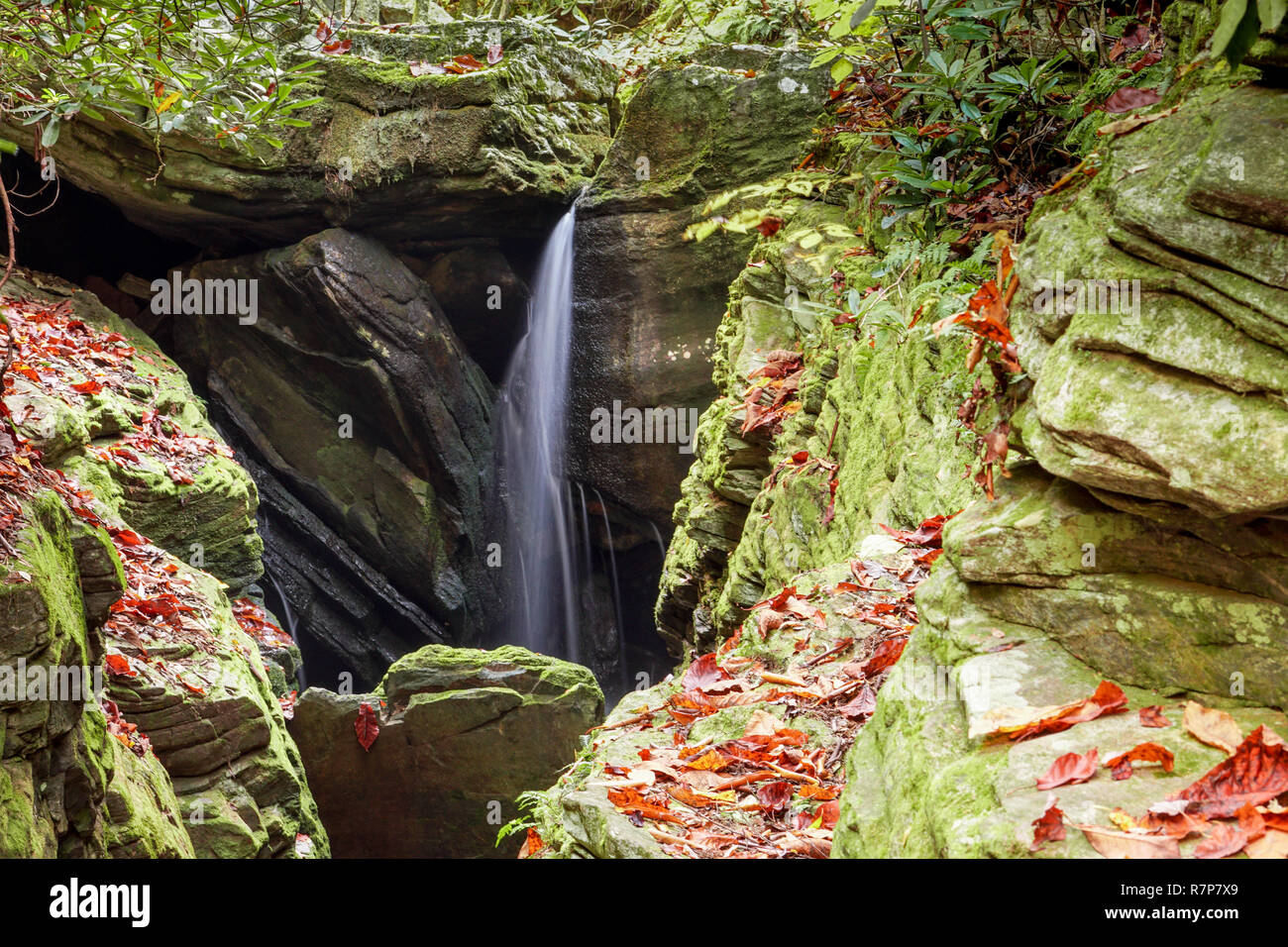 Duggers Creek Falls Wasserfall in einem schmalen felsigen Schlucht in die North Carolina Berge im Herbst in der Nähe von Linville Stockfoto