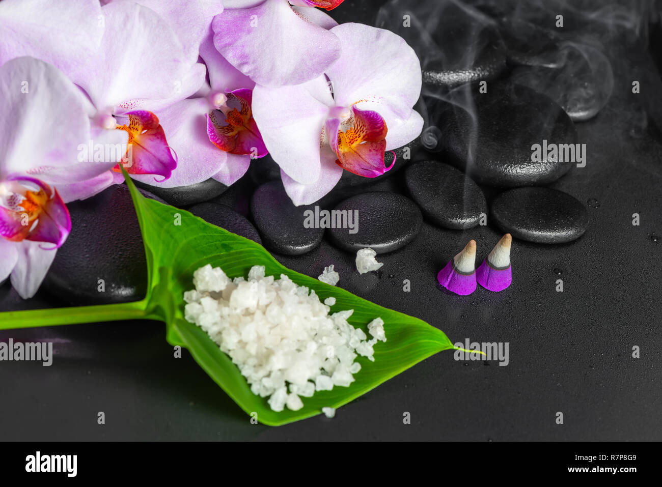 Spa Zusammensetzung der lila Orchidee mit Tropfen, Aroma Räucherkegel und Meersalz auf Blatt über schwarzen zen Steine Stockfoto