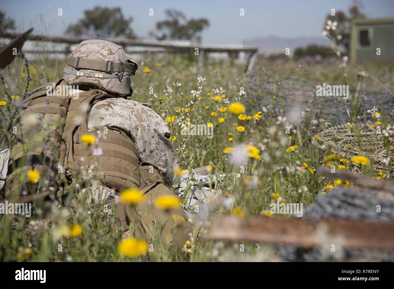 Ein US-Marine Special Purpose Marine Air Ground Task Force-Crisis Response-Africa zugeordnet, bietet Sicherheit für Spanisch 2. Special Operations Group "Granada" Mitglieder während einer während eines bilateralen militärischen Operation auf städtischen Gelände Übung in Alicante, Spanien, 30. März 2017. Die Ausübung bot Gelegenheit für Marines und Spanisch SOF Mitglieder zur Verbesserung der Interoperabilität, pflegen gemeinsame Bereitschaft und Stärkung der Beziehungen. Stockfoto