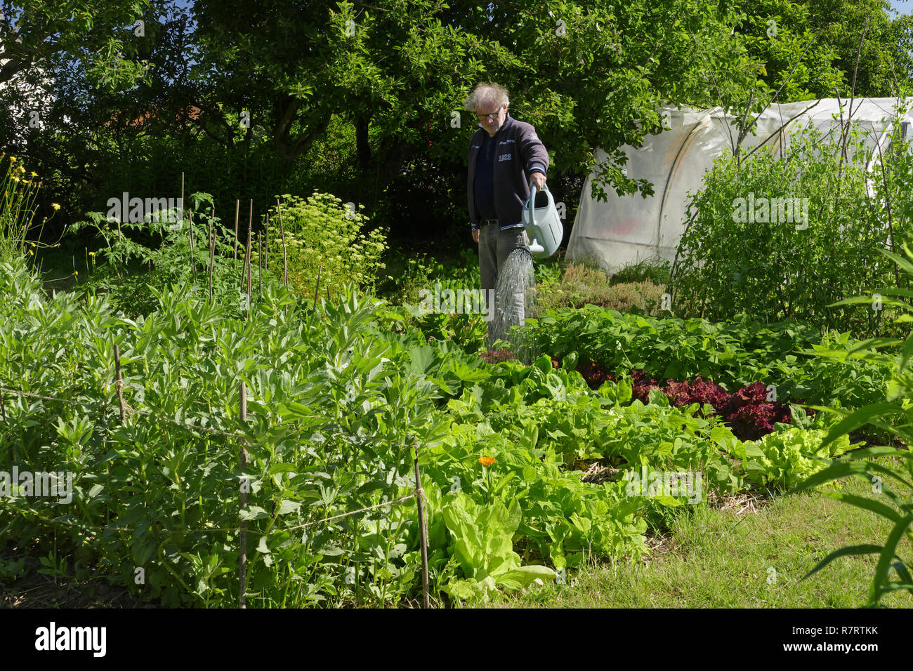 Der patch Fotos und Bildmaterial in hoher Auflösung Alamy