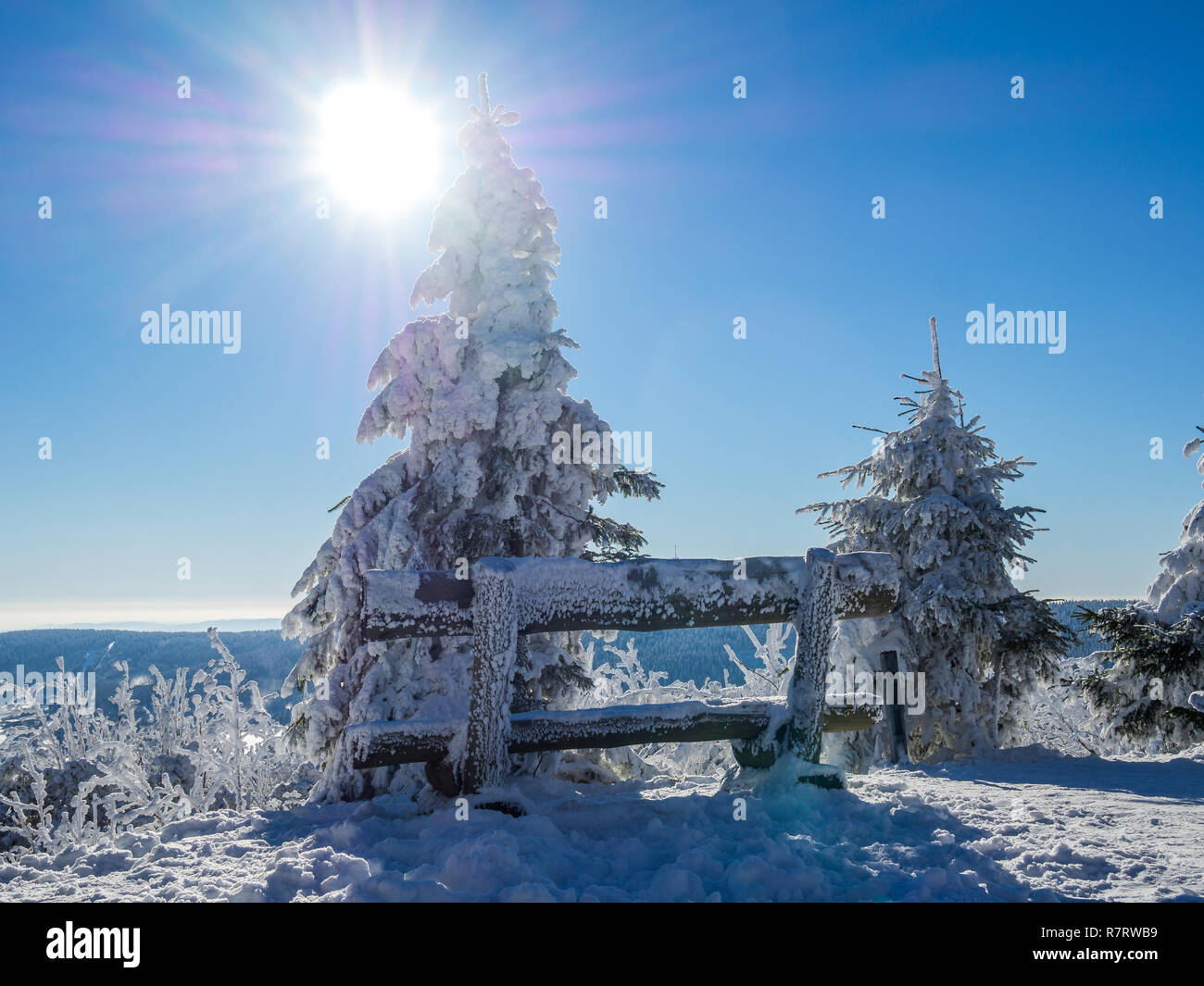 Sonniger Wintertag Stockfoto