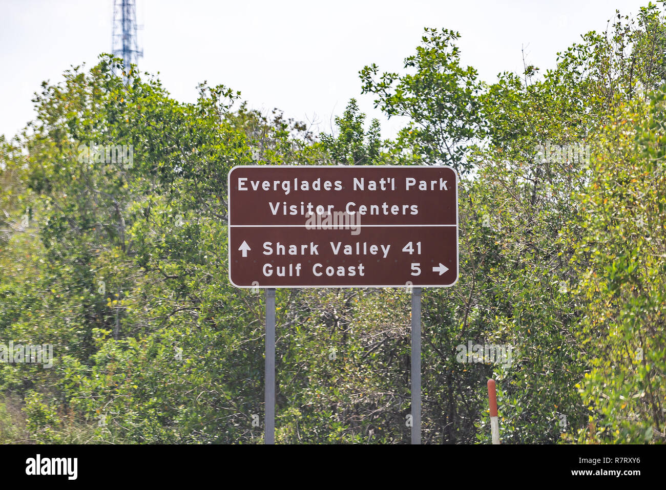 Zeichen für Everglades National Park Visitor Centre und Shark Valley Golfküste von Florida Street road Highway, grünen Bäumen, Stockfoto