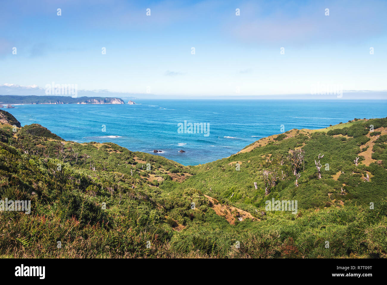 Muelle de las Almas (Dock der Seelen) in Cucao - Insel Chiloe, Chile Stockfoto
