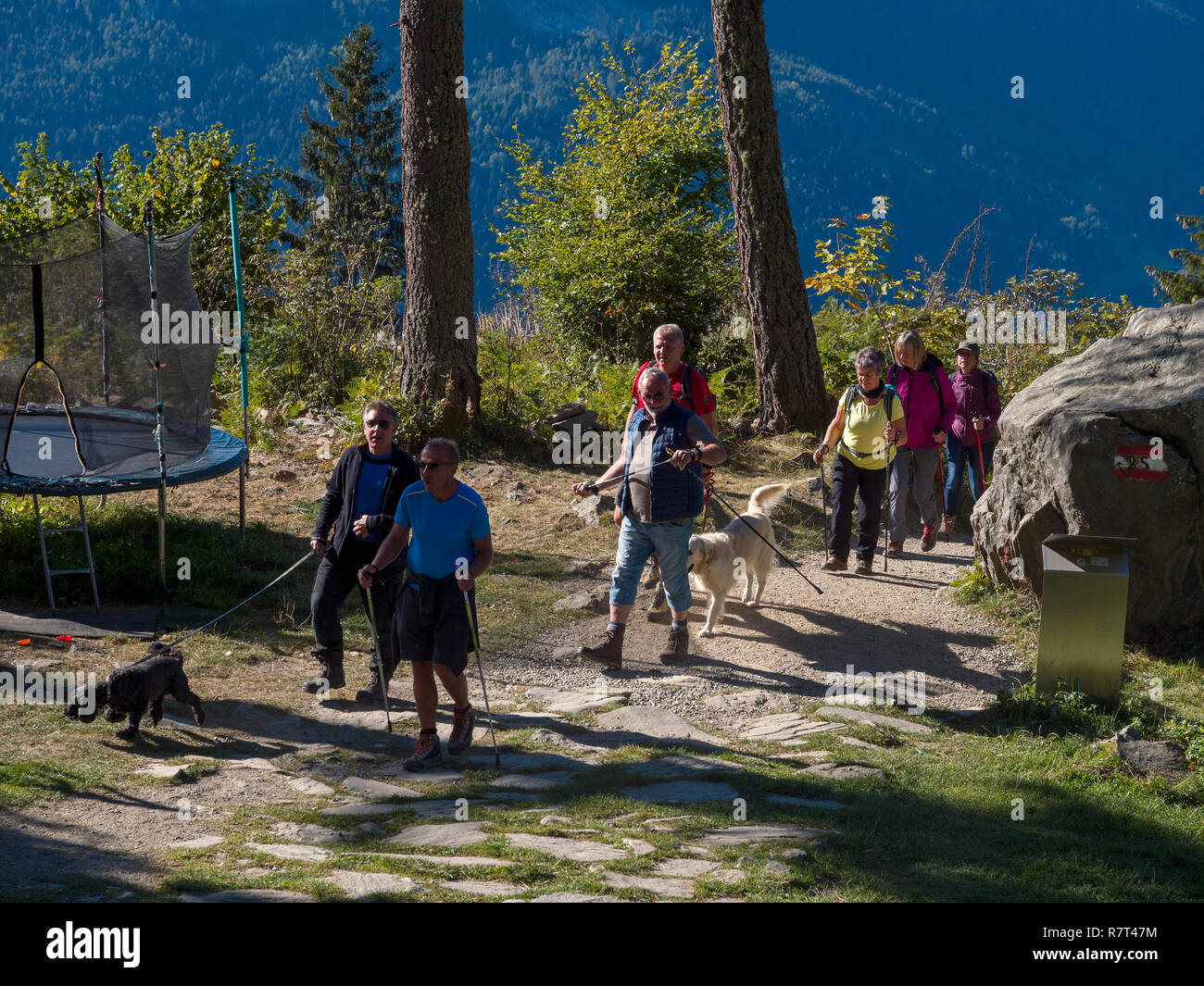 Wanderer, Leiter Alm, Algund bei Meran, Region Süd Tyrol-Bolzano, Italien, Europa Stockfoto