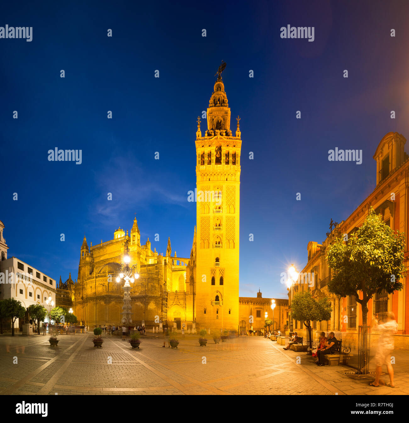 Plaza Virgen de los Reyes in Sevilla, Andalusien, Spanien, in der Dämmerung. In der Mitte der Kathedrale von Sevilla. Auf der rechten Seite das Gebäude der "Archidi Stockfoto