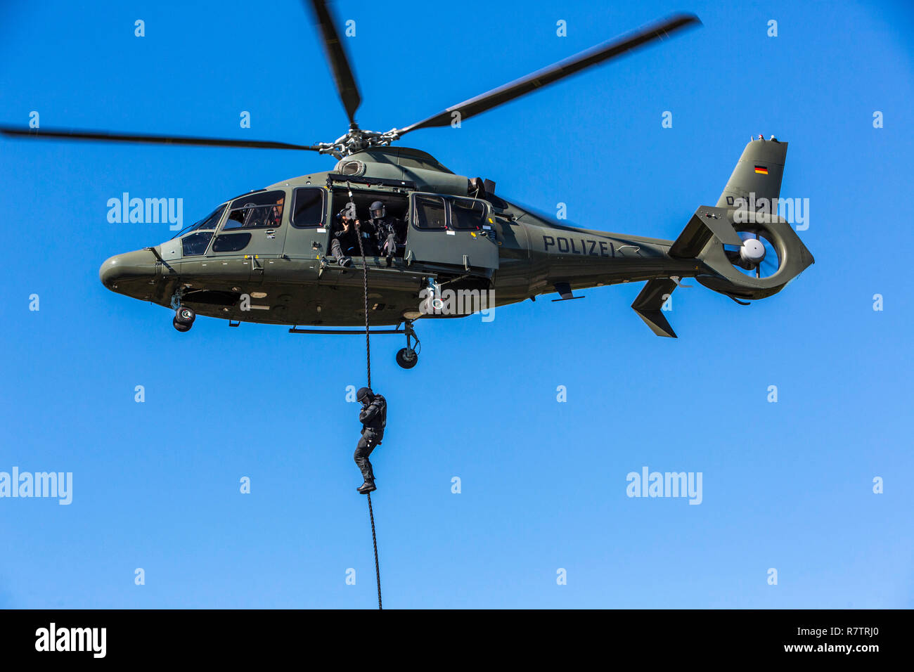 Besondere Polizeikräfte der NRW-Polizei, SEK, ein SEK-Polizist absteigend nach fast roping auf einem dicken Seil von einem Eurocopter EC 155 Stockfoto