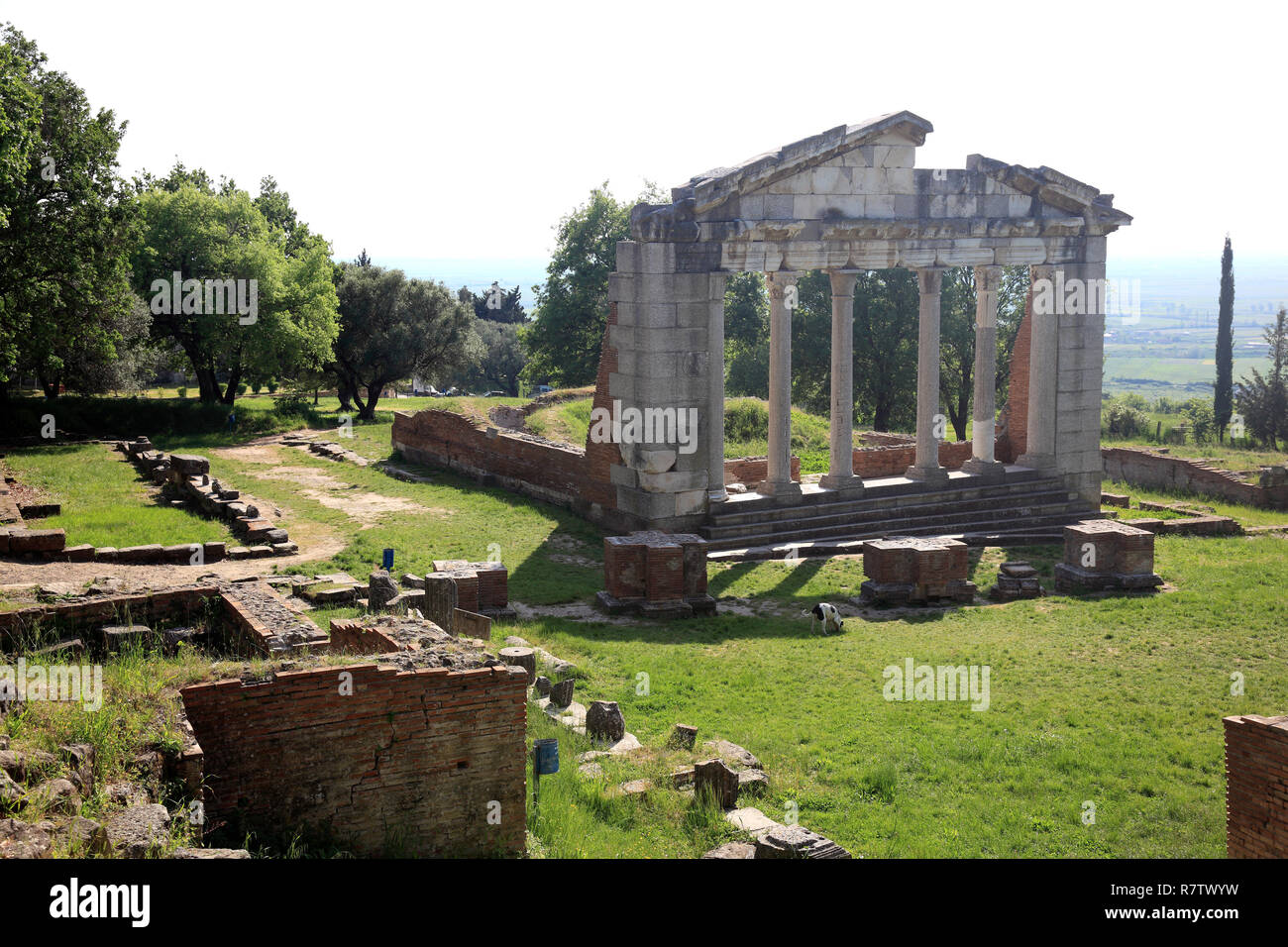 Denkmal der Agonothetes, Teil der Buleuterion, Tempel, Ruinen von Apollonia, Apoloni, Apollonia, Fier County, Albanien Stockfoto