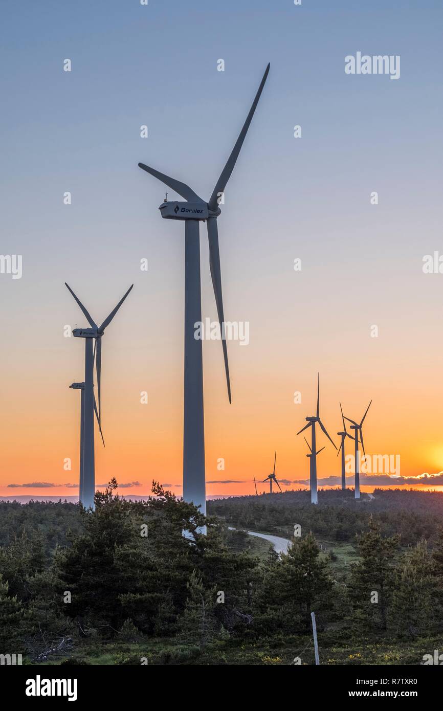 Frankreich, Ardèche, Massif du Tanargue, Monts d'Ardèche Regionalen Naturpark, Wind Farm, Col de la Chavade Stockfoto