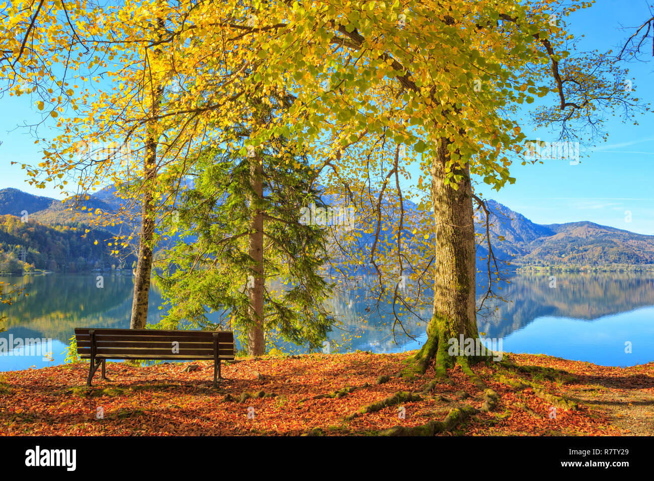 Bunte Bäume am Ufer von Lake Kochel (Kochelsee) im Bayerischen Teil der Europäischen Alpen. Stockfoto