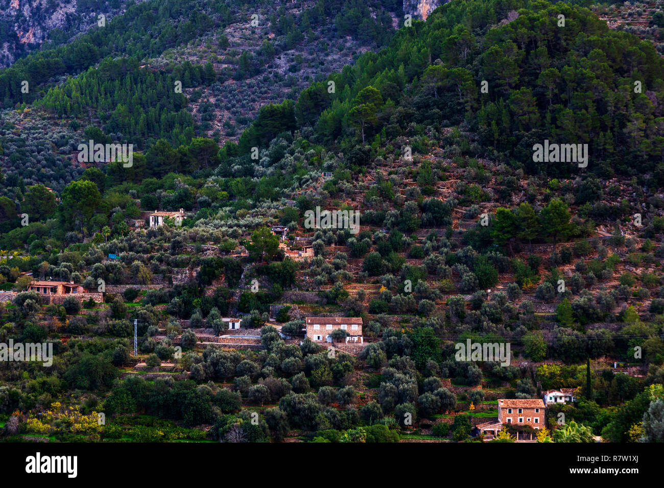 Blick über die Hügel von Sóller von Mirador de Puyol d'en Banja, Mallorca, Mallorca, Balearen, Balearen, Spanien, Europa Stockfoto