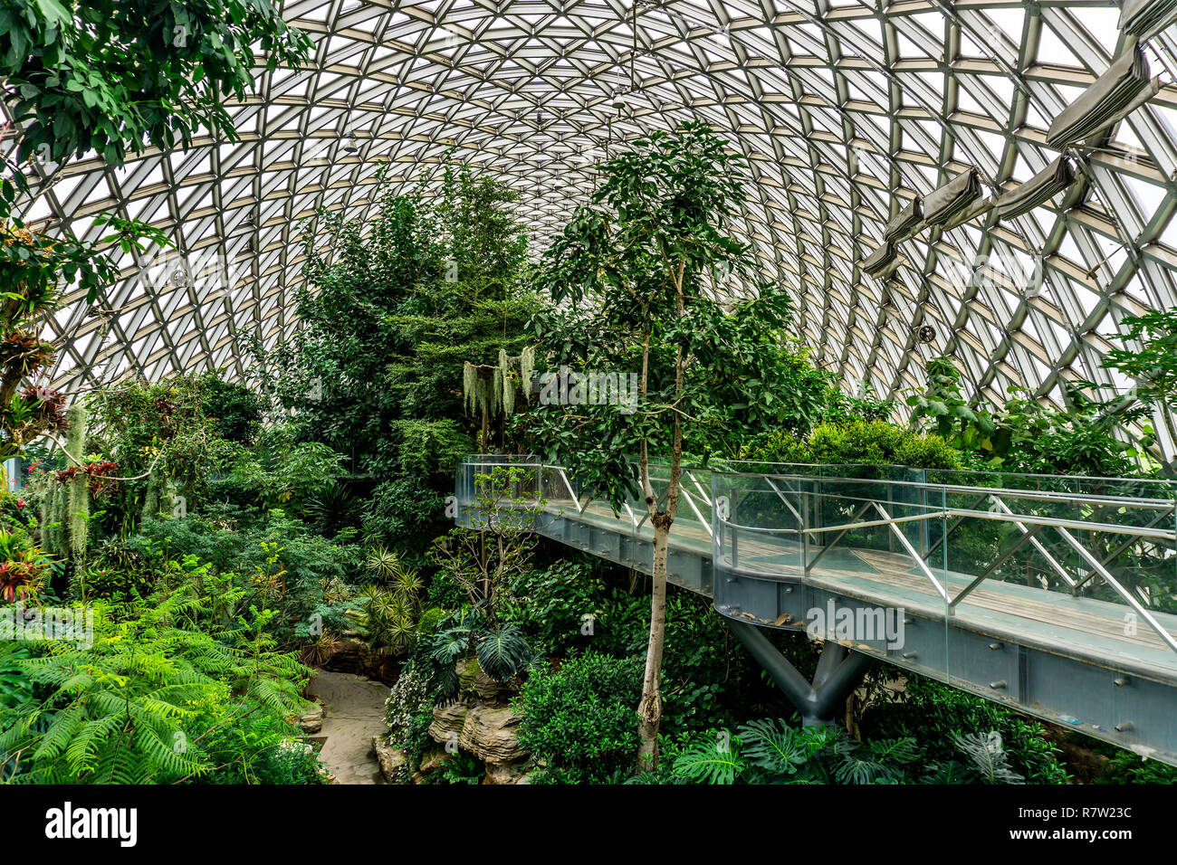 China Shanghai Botanischer Garten Gewächshaus feuchten subtropischen Klima  Pflanzen und Bäume Stockfotografie - Alamy