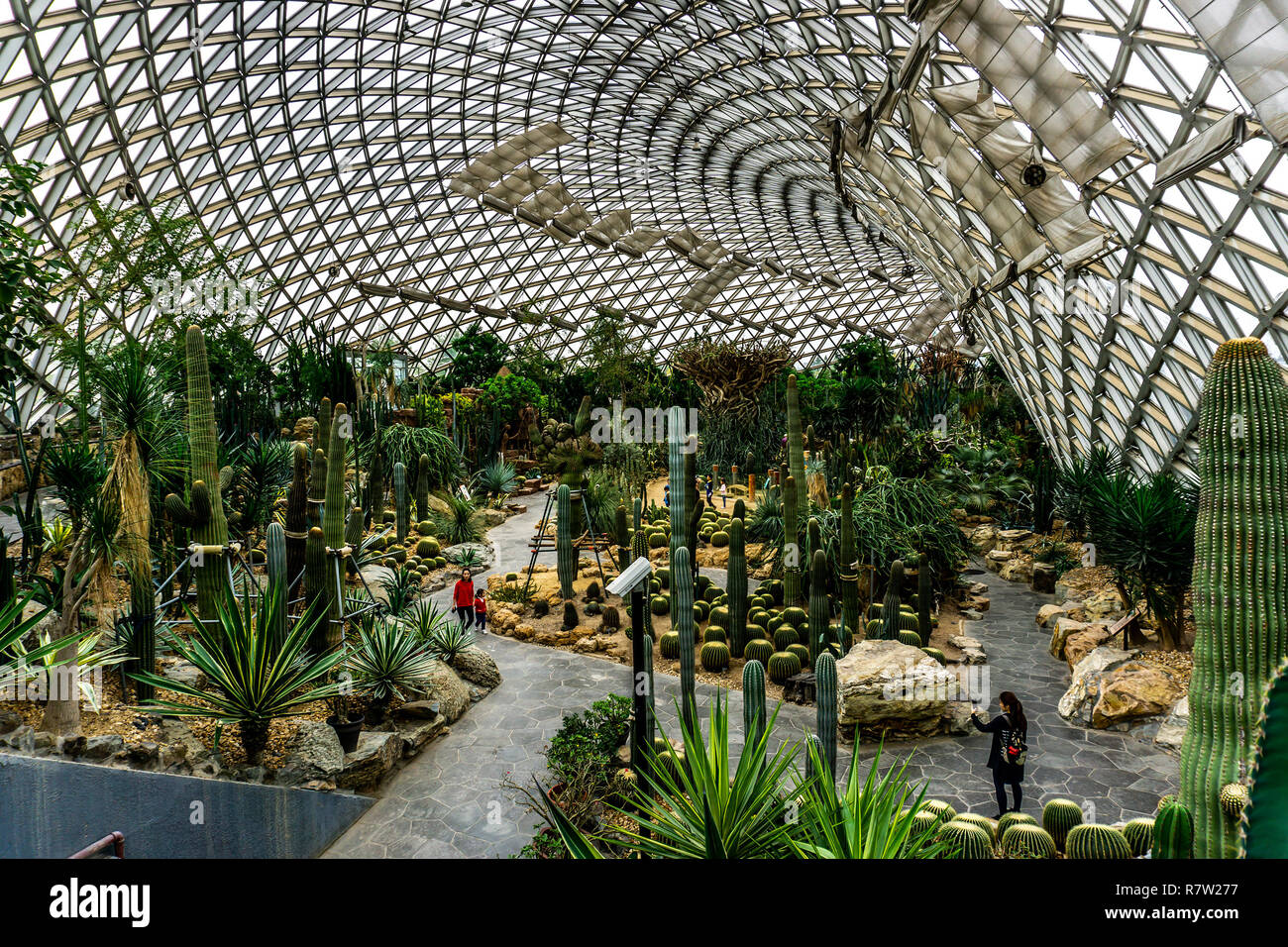 China Shanghai Botanischer Garten Gewachshaus Trockene Klima