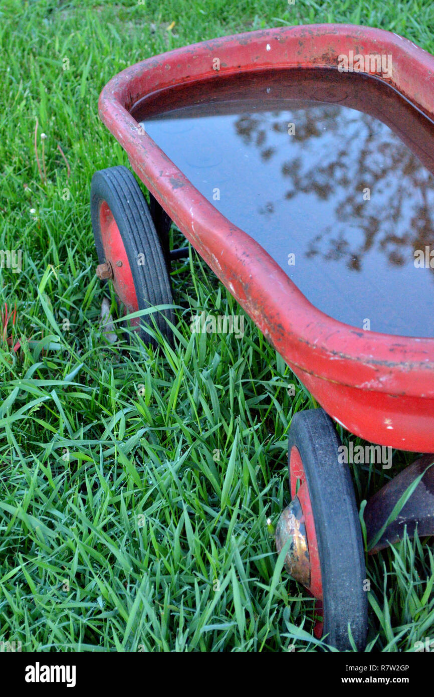 Rote Metall Wagen Mit Regenwasser Gefullt Verbeult Stockfoto Bild