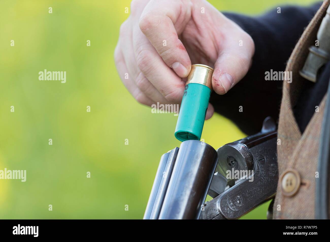 Frankreich, Bas Rhin, kleine Jagd, Jäger Stockfoto