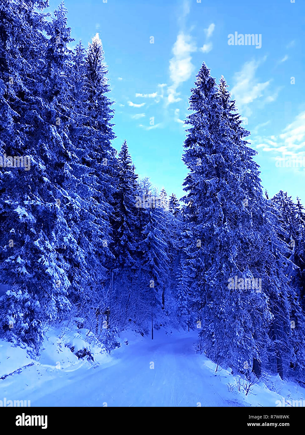 Erleben Sie den Nervenkitzel des Winters auf dem Berg, ein perfekter Ort für Skifahrer Stockfoto
