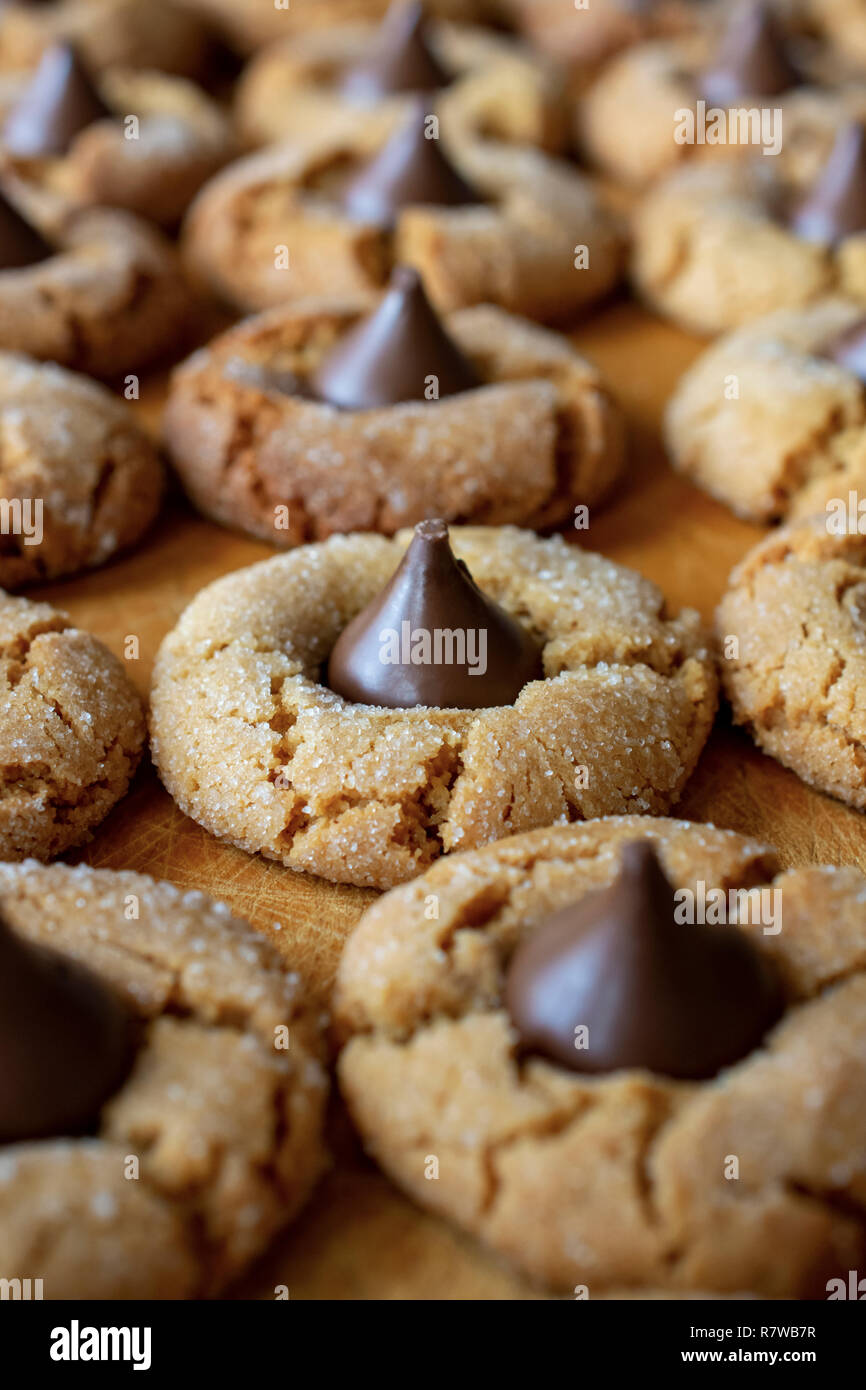 Blossom peanutbutter Cookies mit einer vertikalen crop. Makroaufnahme von Side entfernt. Stockfoto