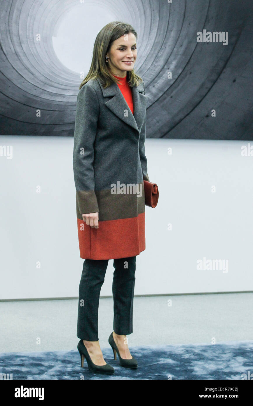 Madrid, Spanien. 12 Dez, 2018. Queen Letizia von Spanien nimmt an einer Sitzung des Vorstandes der Stiftung für Hilfe gegen Drogenabhängigkeit bei Campus Repsol am 12. Dezember in Madrid, Spanien 2018. Credit: Jimmy Olsen/Medien Punch *** Keine Spanien***/Alamy leben Nachrichten Stockfoto