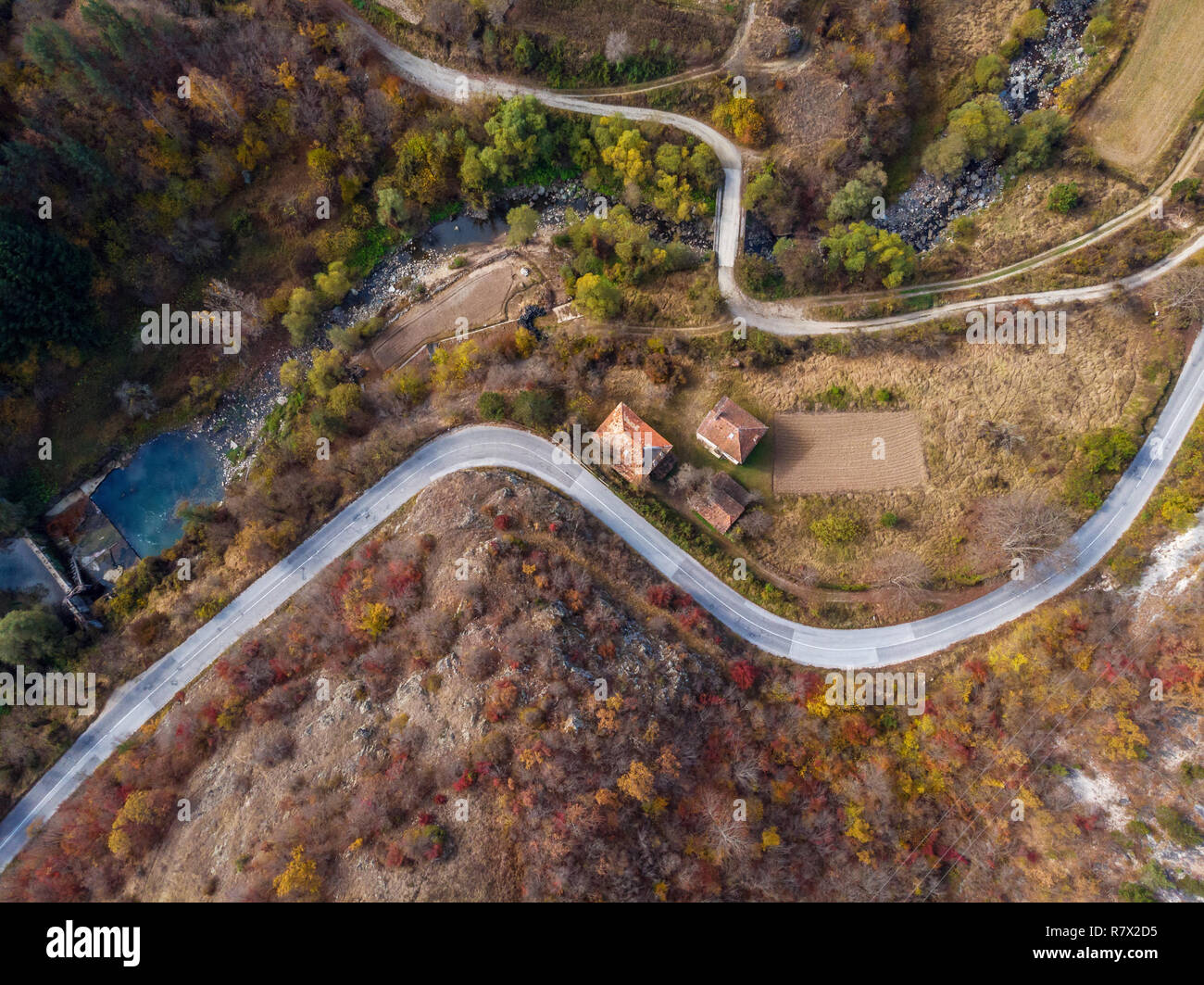 Herbst Wald drone Luftaufnahme, Ansicht von oben von Laub Bäume und auf der Straße. Stockfoto