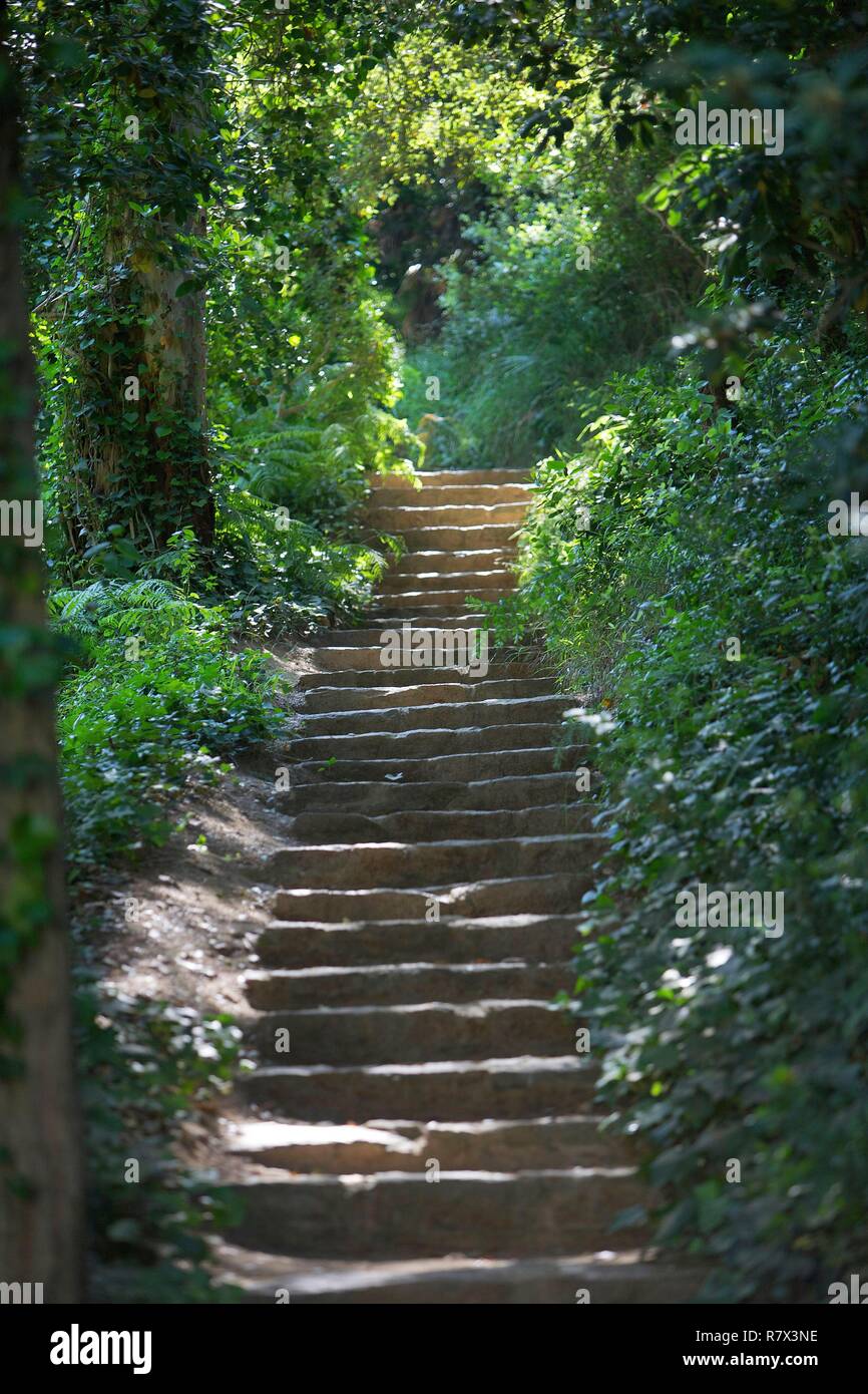 Frankreich, Var, Rayol Canadel Sur Mer, Domäne von Rayol, Garten mit Essenzen aus allen Zonen der mediterranen Welt Ökosystem, steinerne Treppe in der Mitte der Vegetation Stockfoto