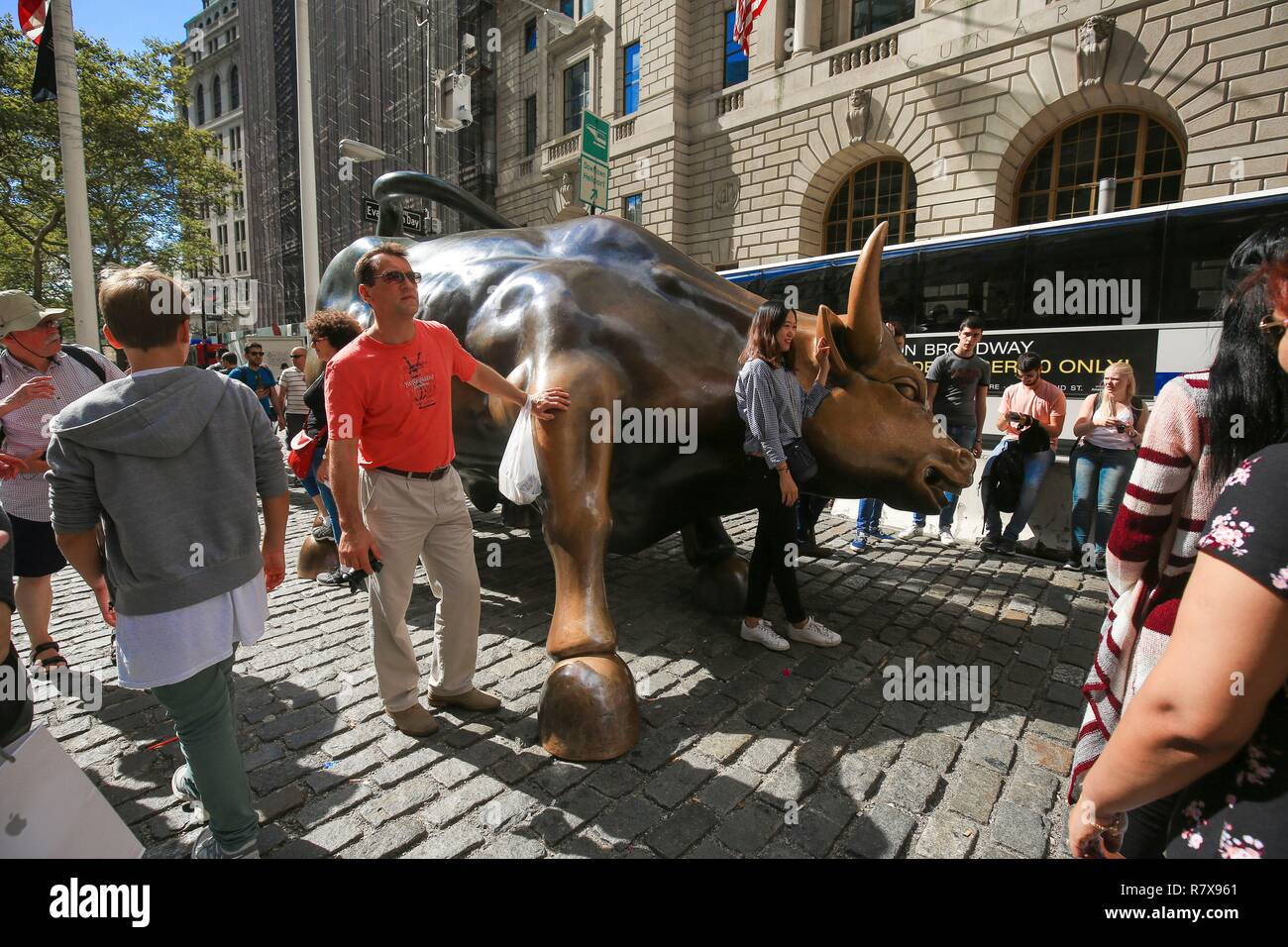United States, New York, Manhattan, Financial District, Touristen vor Arturo di Monica's Bronze Bull auf Bowling Green, Symbol der mächtigen Kraft des Wall Street fotografiert. Stockfoto