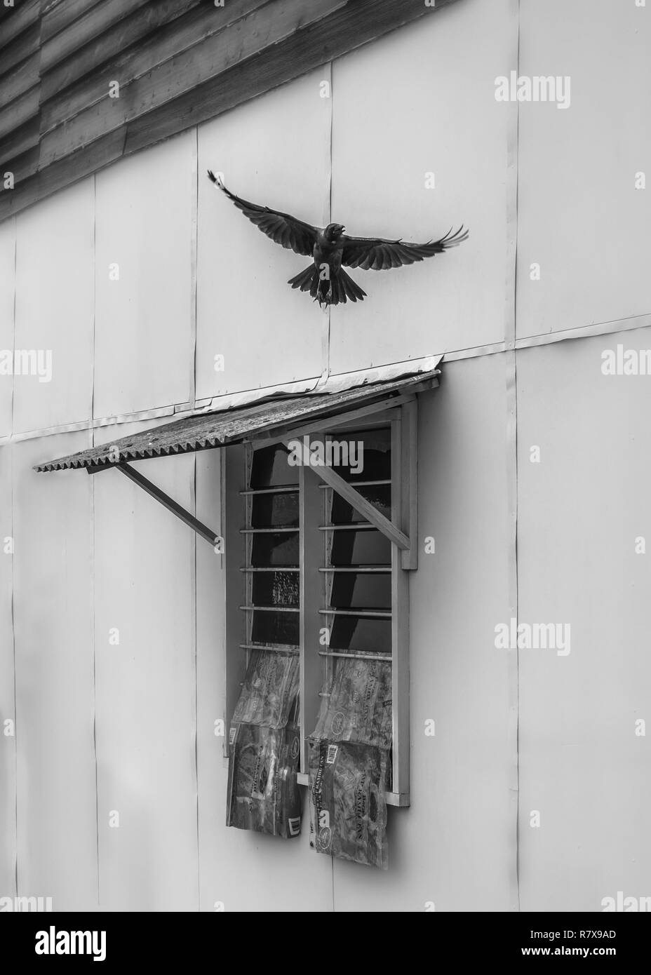 Nehmen Sie Stockfoto