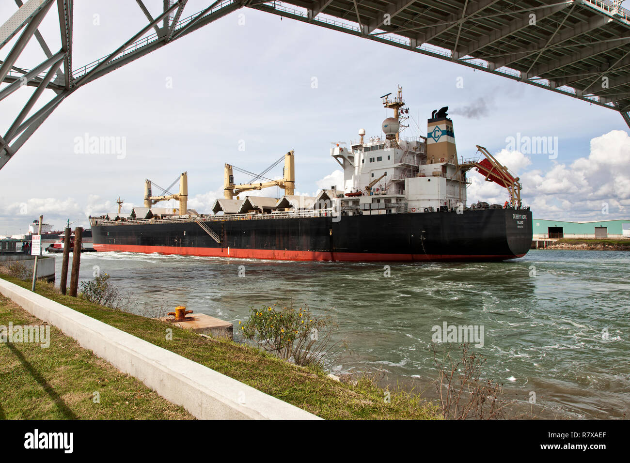 Frachtschiff Transport von Getreide, Einfahrt in den Hafen am Fronleichnamsfest, unter der Harbour Bridge. Stockfoto