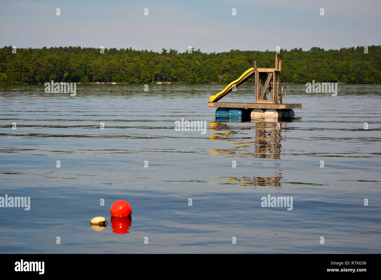 Maine Lake Life Stockfoto