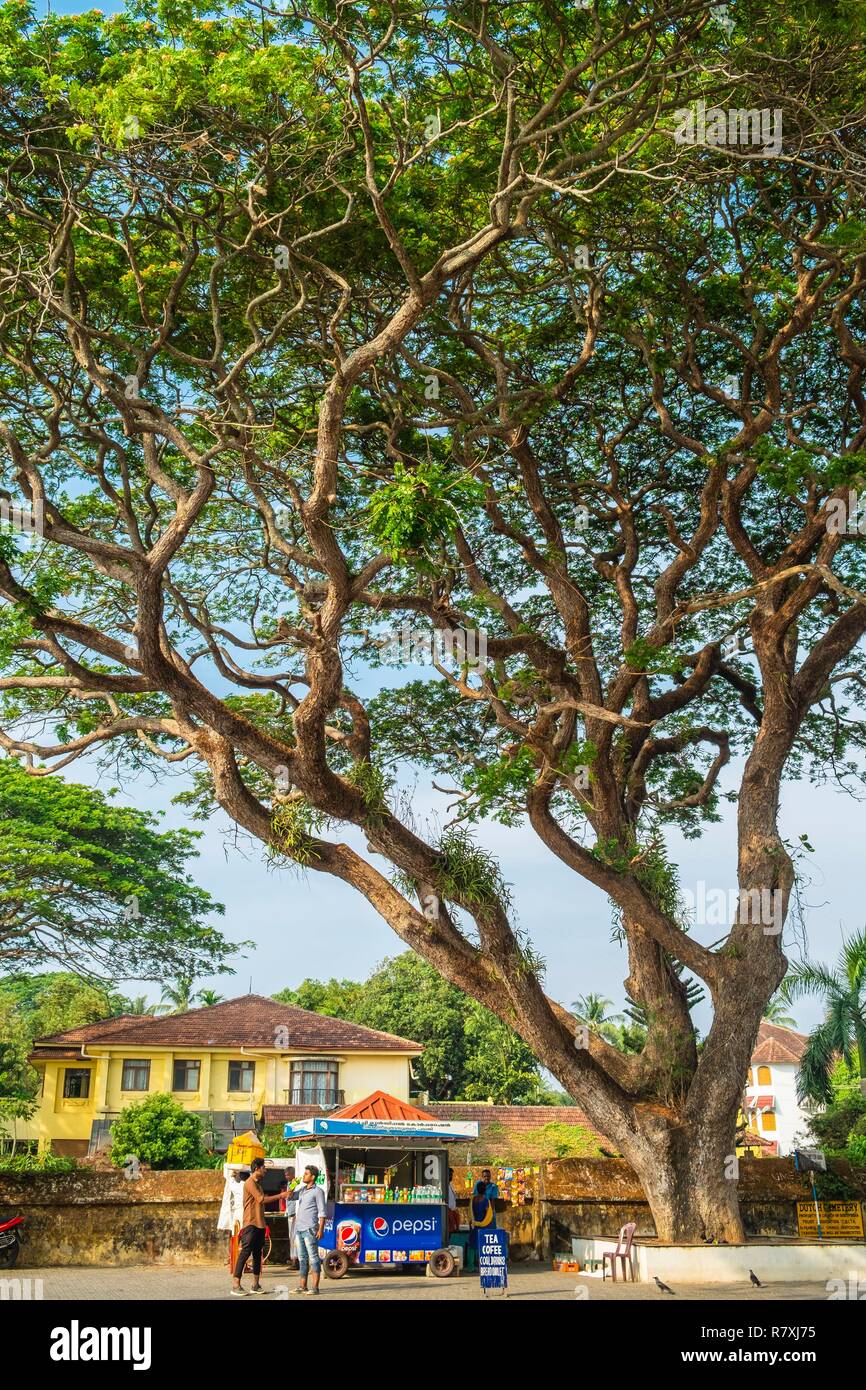 Inde, Bundesstaat Kerala, Kochi (Cochin), Fort Kochi (Cochin) Bezirk Stockfoto