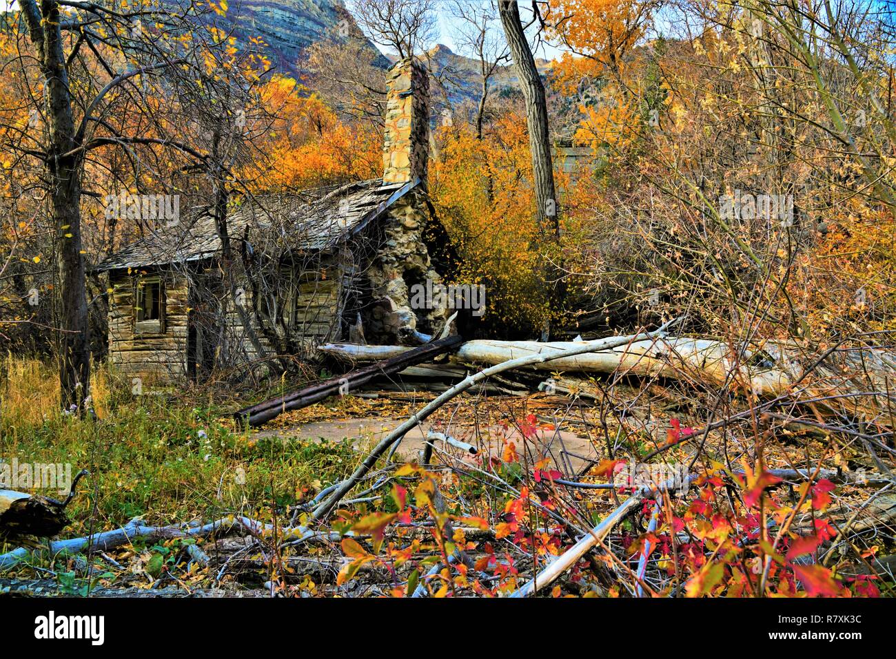 Kabine von Herbst Farben umgeben aufgegeben. Stockfoto