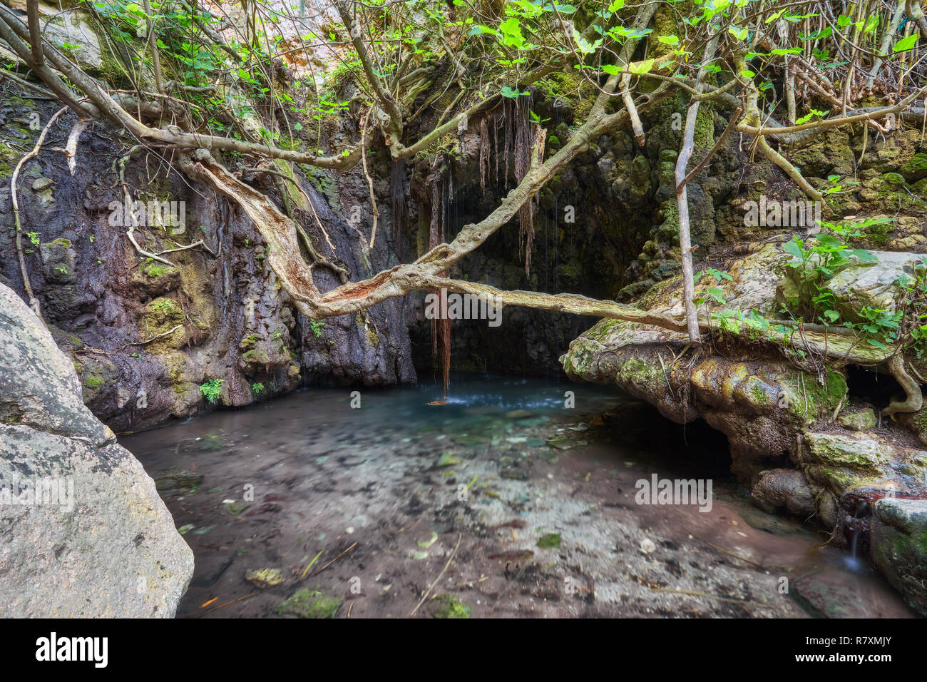 Bäder der Aphrodite Grotte mit Teich und Quellwasser Stockfotografie