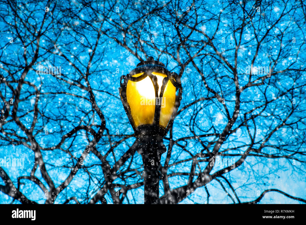 Lamp Post und Zweige als Schnee fällt in der Nacht Stockfoto
