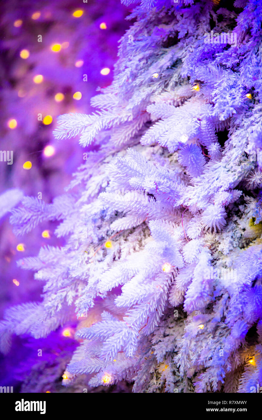Schöne schneereiche Winter Hintergrund Bild mit weißen Weihnachtsbaum gegen Lila mit Beleuchtung Stockfoto