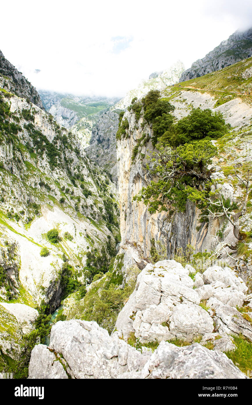 Eine tiefe Schlucht entlang der kümmert sich Trail (Ruta kümmert), Picos de Europa, Asturien, Spanien. Stockfoto