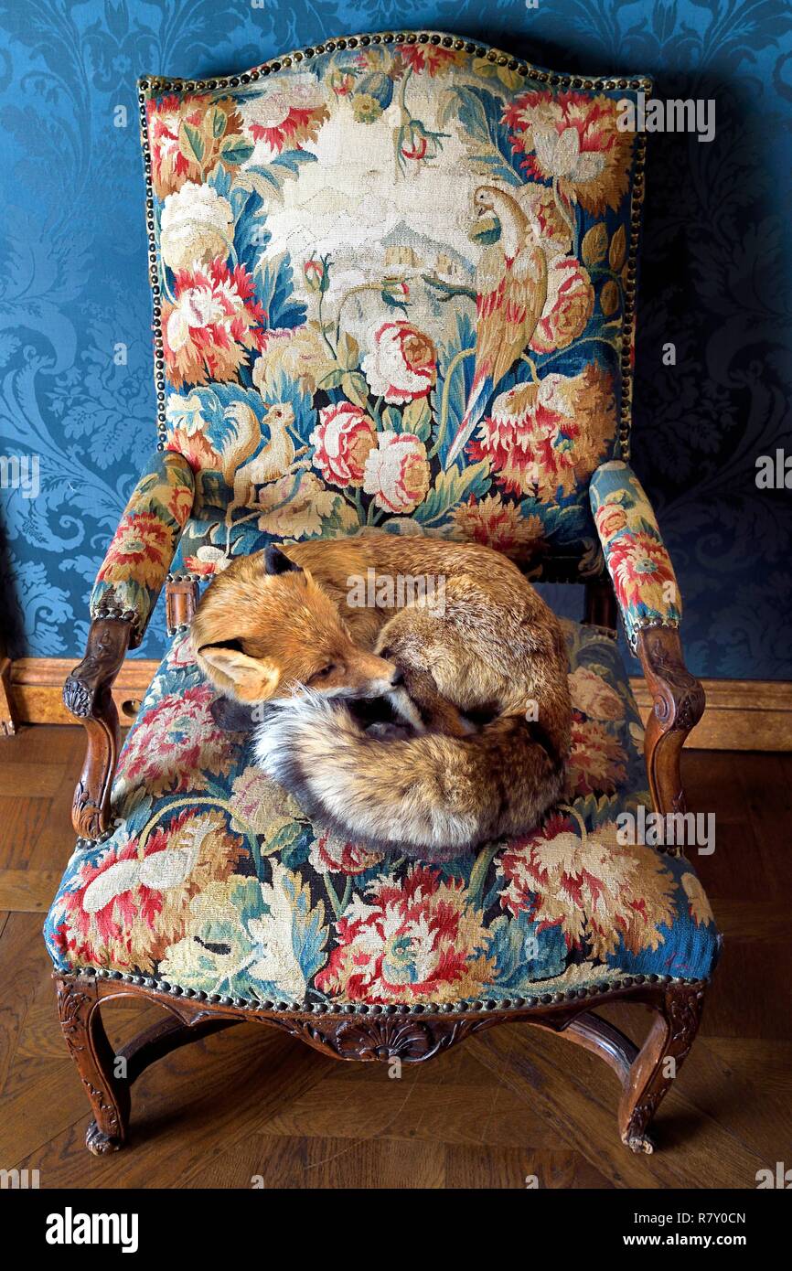Frankreich, Paris, Le Marais-Viertel, Musee De La Chasse et De La Nature (Museum für Jagd und Natur) in das Hotel de Guenegaud Stockfoto