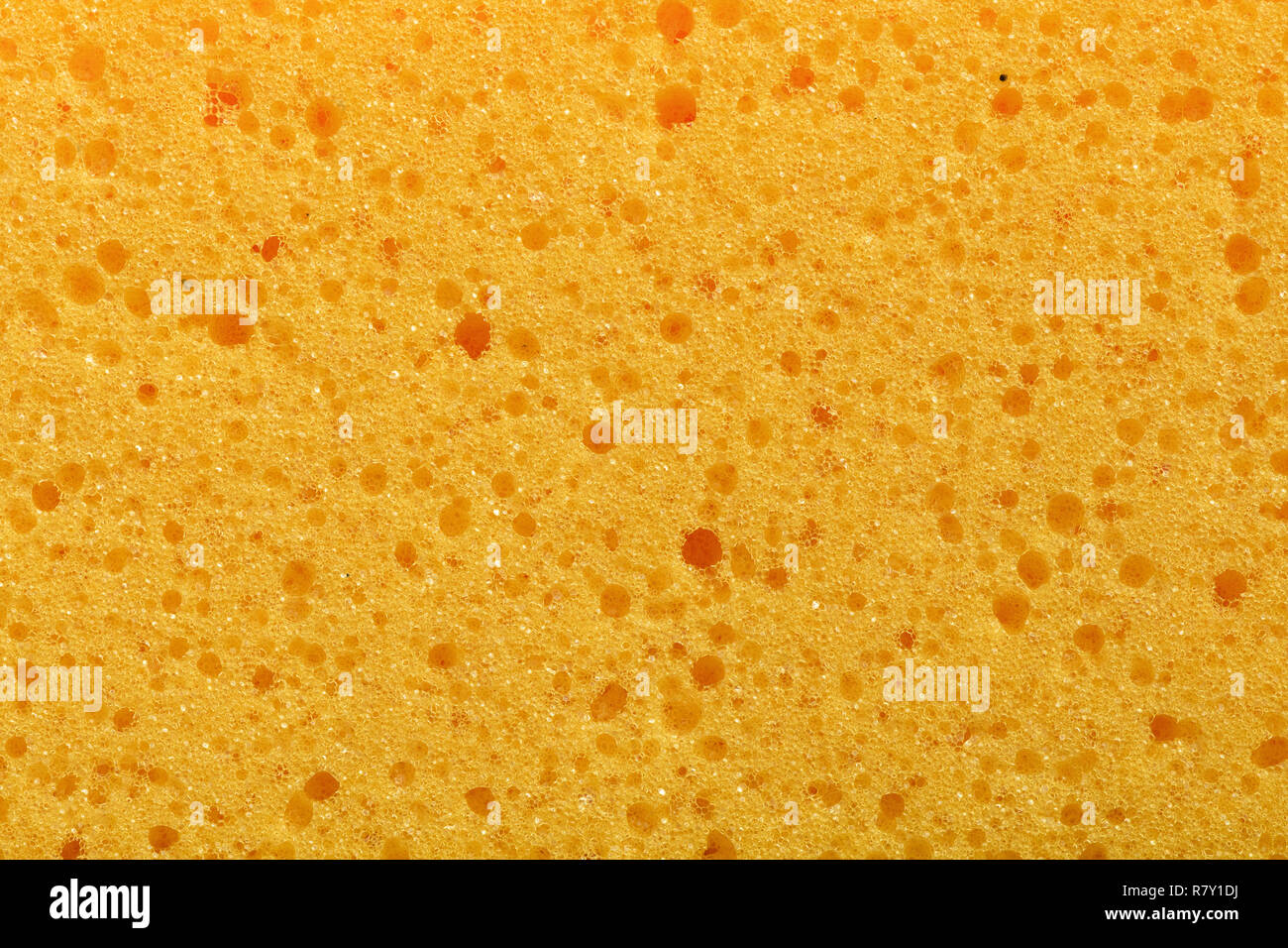 Makro Textur von gelben Schwamm Stockfoto