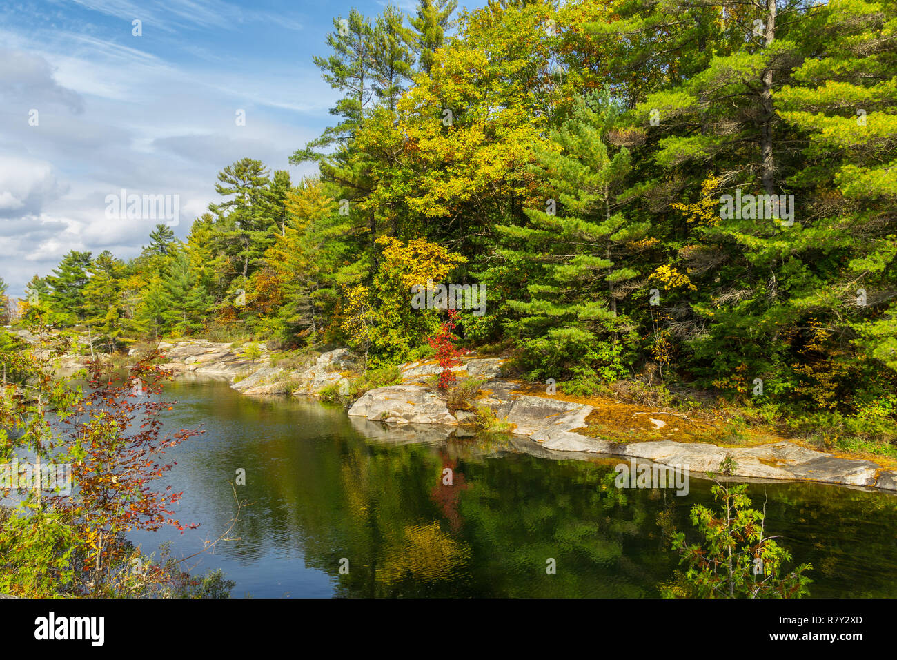 Herbstlandschaft mit Fluss und blauem Himmel, natürliche Welt Stockfoto