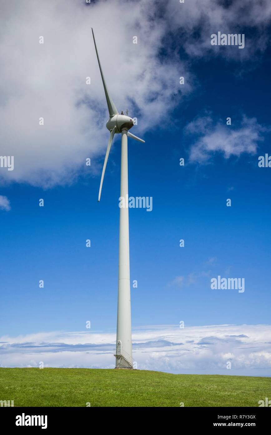 Portugal, Azoren, auf der Insel Terceira, Serra do Cume, Windmühlen Stockfoto