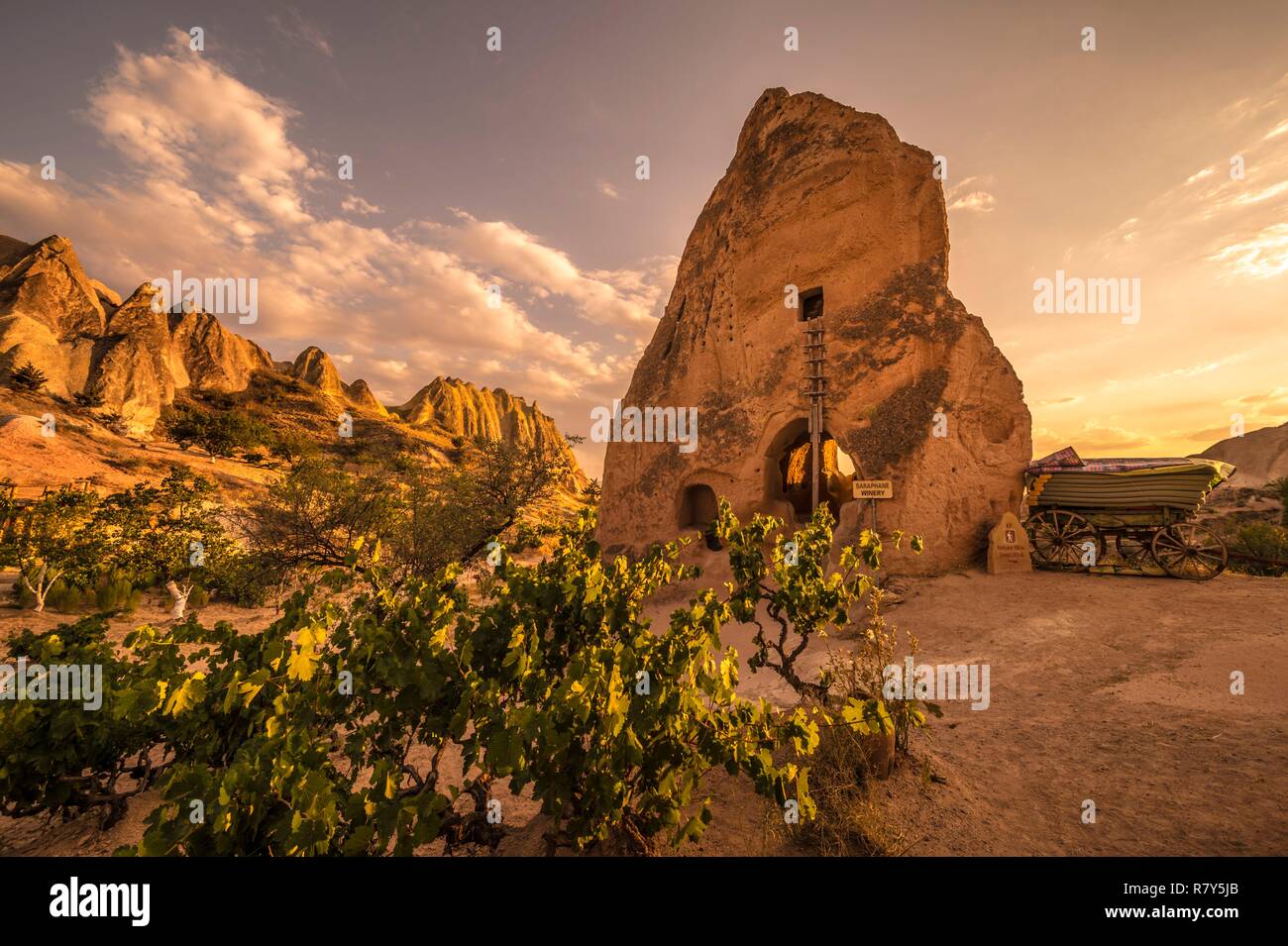 Türkei, Zentralanatolien, Nev &#x15f; ehir Provinz Kappadokien, Weltkulturerbe der UNESCO, Göreme, Familie Entdeckung der Rose Valley, Landschaft vulkanischen Tuff Hügel, Feenkamine und Überreste von höhlenwohnungen Wohnungen in der Nationalpark Göreme, bei Sonnenuntergang Stockfoto