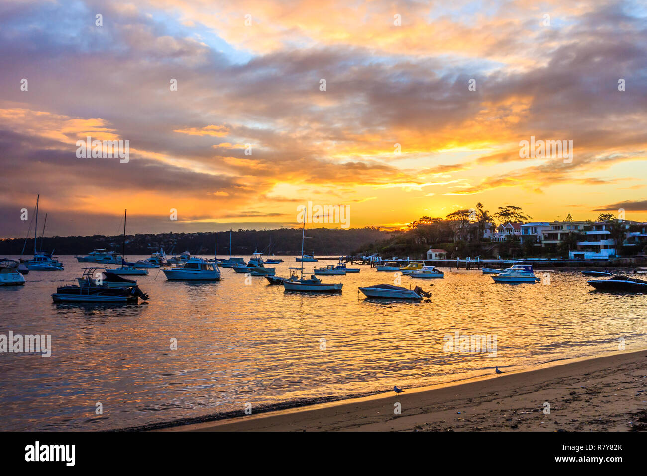 Sonnenuntergang 0 ver Watsons Bay Harbour, Sydney, New South Wales, Australien Stockfoto